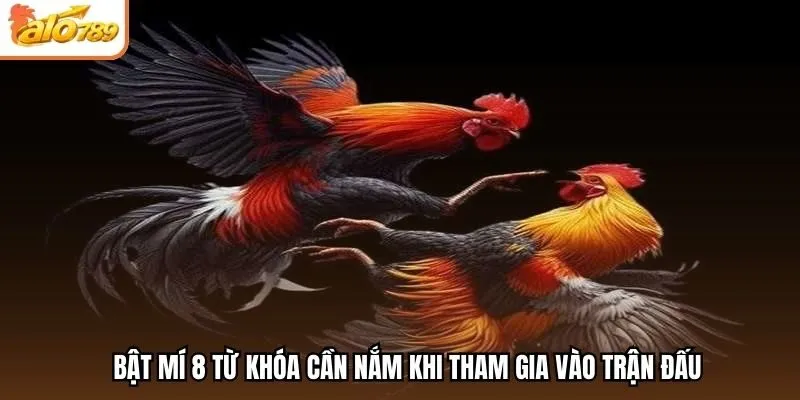 Bật mí 8 từ khóa cần nắm khi tham gia vào trận đấu