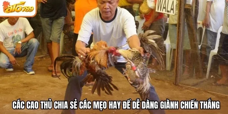 Các cao thủ chia sẻ các mẹo hay để dễ dàng giành chiến thắng