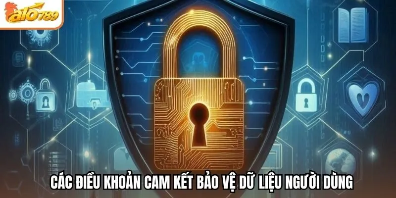 Các điều khoản cam kết bảo vệ dữ liệu người dùng