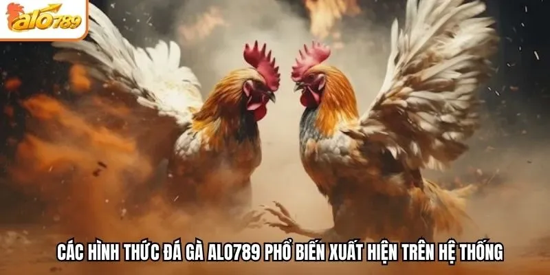 Các hình thức đá gà Alo789 phổ biến xuất hiện trên hệ thống
