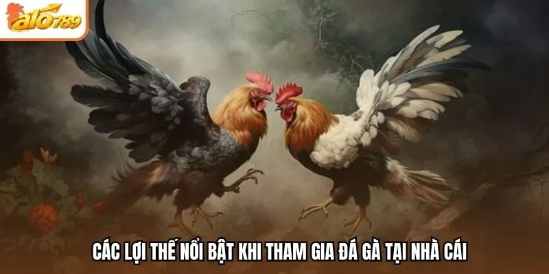 Các lợi thế nổi bật khi tham gia đá gà tại nhà cái