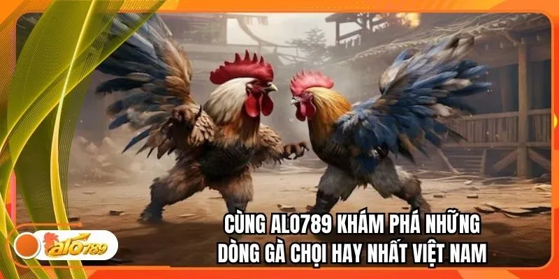 Cùng Alo789 Khám Phá Những Dòng Gà Chọi Hay Nhất Việt Nam