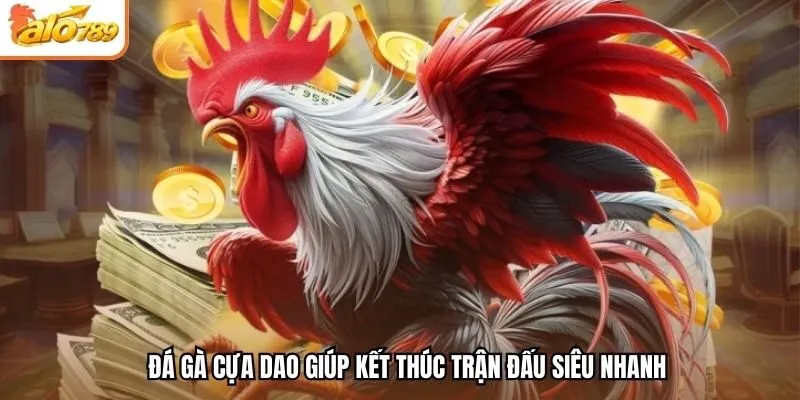 Đá gà cựa dao giúp kết thúc trận đấu siêu nhanh