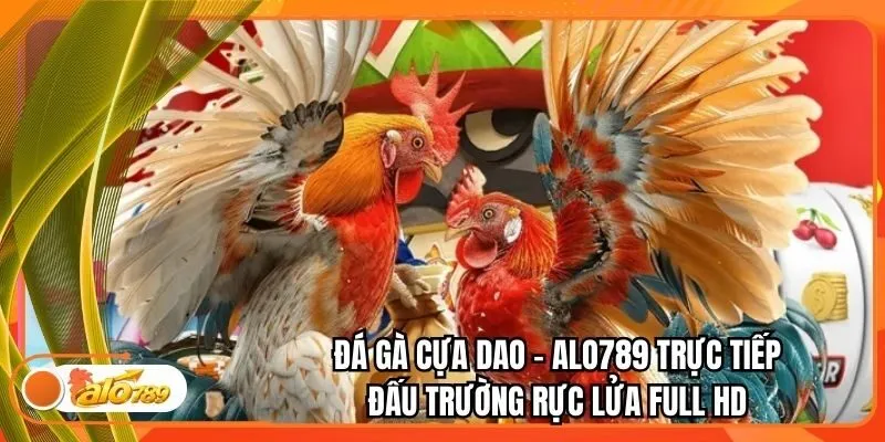 Đá Gà Cựa Dao - Alo789 Trực Tiếp Đấu Trường Rực Lửa Full HD