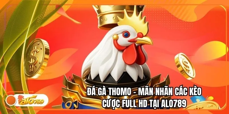Đá Gà Thomo - Mãn Nhãn Các Kèo Cược Full HD Tại Alo789