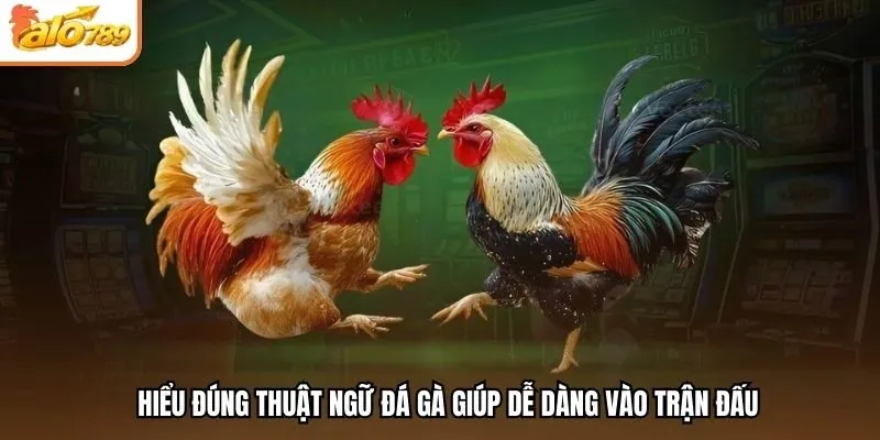 Hiểu đúng thuật ngữ đá gà giúp dễ dàng vào trận đấu