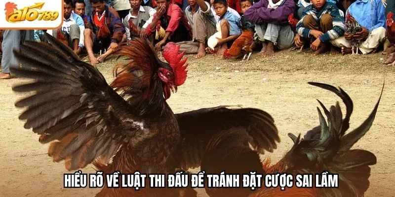 Hiểu rõ về luật thi đấu để tránh đặt cược sai lầm