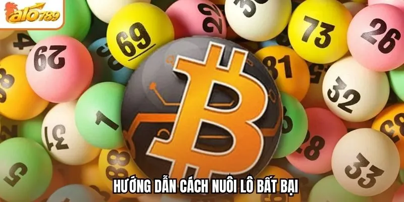 Hướng dẫn cách nuôi lô bất bại