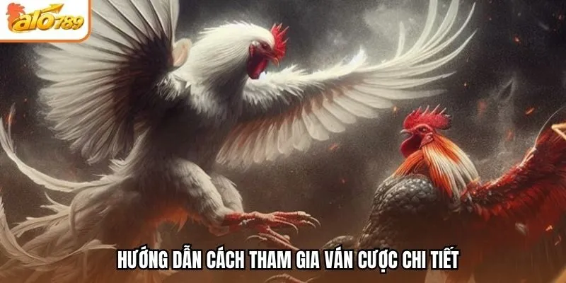 Hướng dẫn cách tham gia ván cược chi tiết