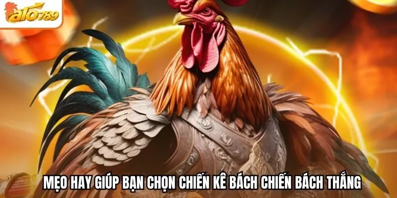 Mẹo hay giúp bạn chọn chiến kê bách chiến bách thắng