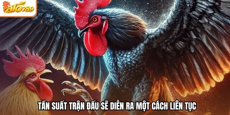 Tần suất trận đấu sẽ diễn ra một cách liên tục