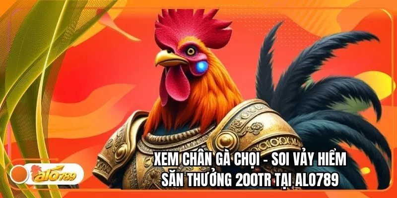 Xem Chân Gà Chọi - Soi Vảy Hiểm Săn Thưởng 200Tr Tại Alo789